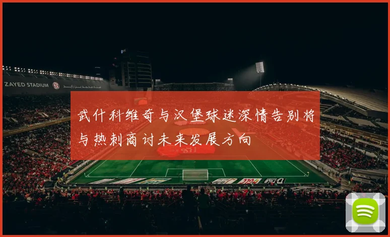 武什科维奇与汉堡球迷深情告别将与热刺商讨未来发展方向